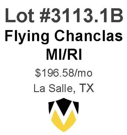 Flying Chanclas
