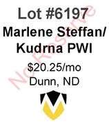 Kudrna, Marlene Steffan Non-Op WI