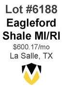 Eagleford Shale MI/RI