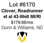 Clover, Roadrunner, et al 6-Property, 43-Well Package