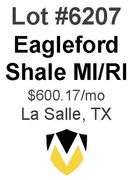 Eagleford Shale MI/RI