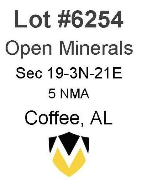 Coffee, AL Open Minerals 19-3N-21E (5 NMA)