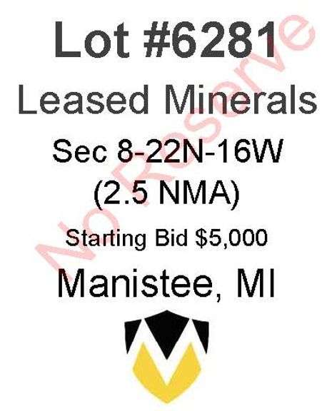 Manistee MI Leased Minerals (2.5 NMA)