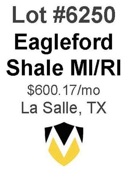 Eagleford Shale MI/RI
