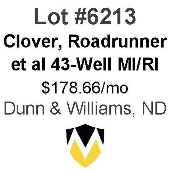 Clover, Roadrunner, et al 6-Property, 43-Well Package