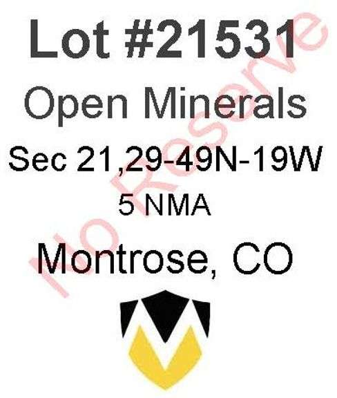Montrose, CO Open Minerals 21,29-49N-19W