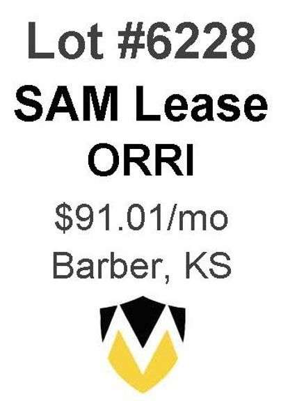 Stacy-Alexa-Marla (SAM) ORRI Package