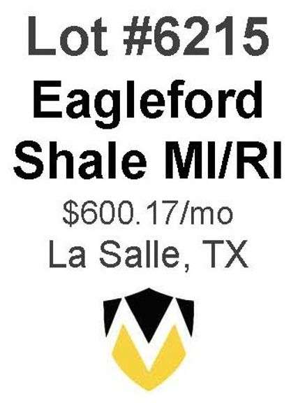 Eagleford Shale MI/RI