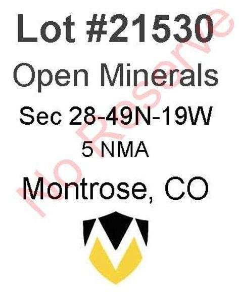 Montrose, CO Open Minerals 28-49N-19W