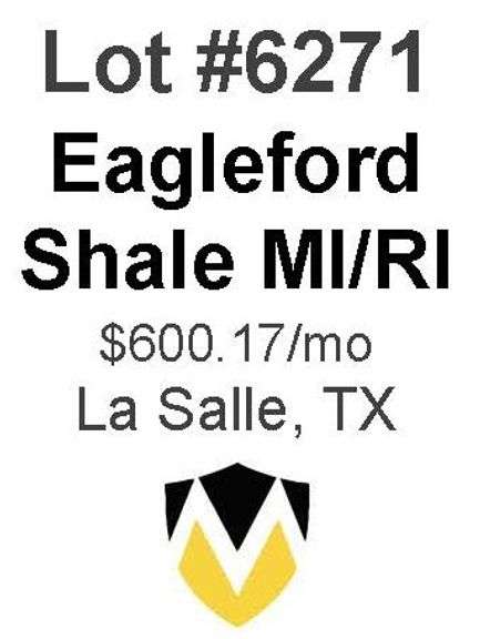 Eagleford Shale MI/RI