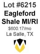 Eagleford Shale MI/RI