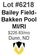 Bailey Field-Bakken Pool Wells