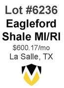 Eagleford Shale MI/RI