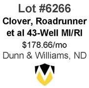 Clover, Roadrunner, et al 6-Property, 43-Well Package