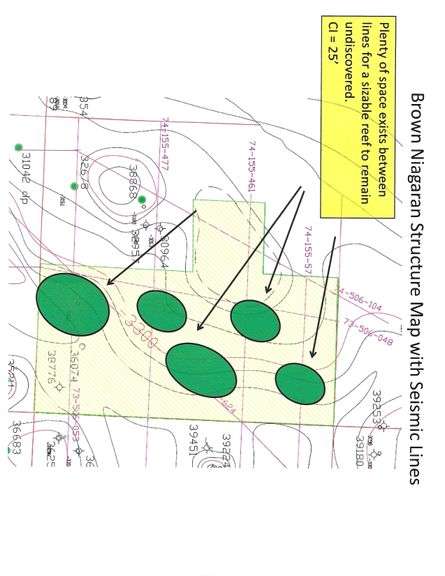 Manistee MI Leased Minerals (2.5 NMA)