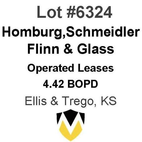 Homburg, Schmeidler, Flinn & Glass