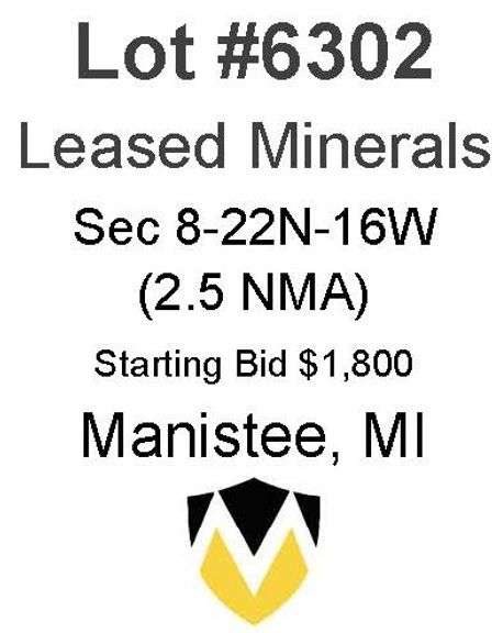 Manistee MI Leased Minerals (2.5 NMA)