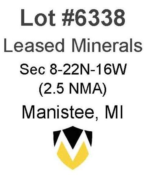 Manistee MI Leased Minerals (2.5 NMA)