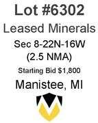 Manistee MI Leased Minerals (2.5 NMA)