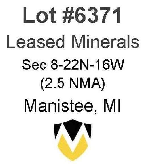 Manistee MI Leased Minerals (2.5 NMA)