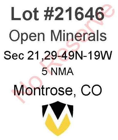 Montrose, CO Open Minerals 21,29-49N-19W