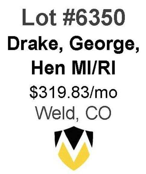 Drake, George, Hen 66-Well Package