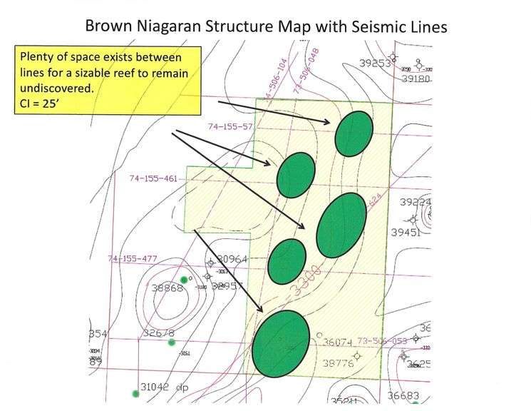 Manistee MI Leased Minerals (2.5 NMA)