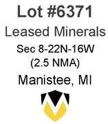 Manistee MI Leased Minerals (2.5 NMA)