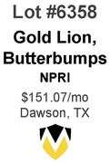 Gold Lion, Butterbumps NPRI