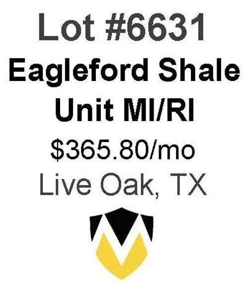 4-Well Eagleford Shale Unit (Whitsett)