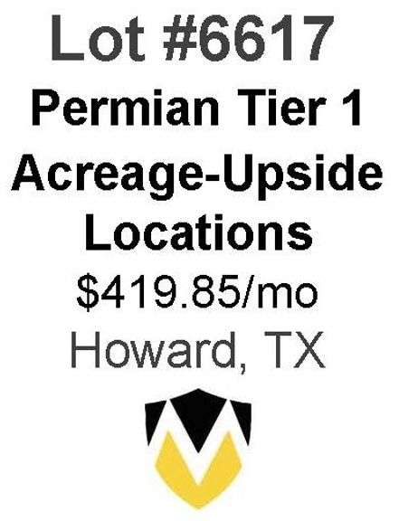 Permian Basin Tier 1 Acreage Wells with Upside Locations Available (Ripley)