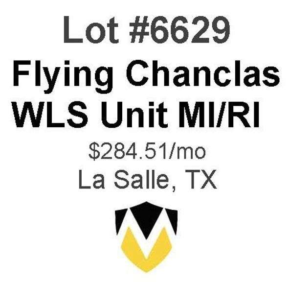 Flying Chanclas/WLS Unit