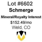 Schmerge 14-Well Package