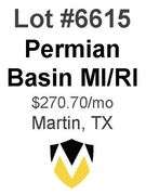 Permian Basin MI/RI (Meek-Lindsay)