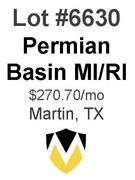 Permian Basin MI/RI (Meek-Lindsay)