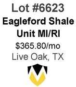 4-Well Eagleford Shale Unit (Whitsett)