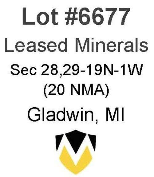 Gladwin, MI Leased Minerals (20 NMA)