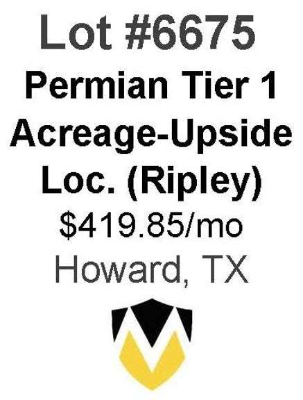Permian Basin Tier 1 Acreage Wells with Upside Locations Available (Ripley)