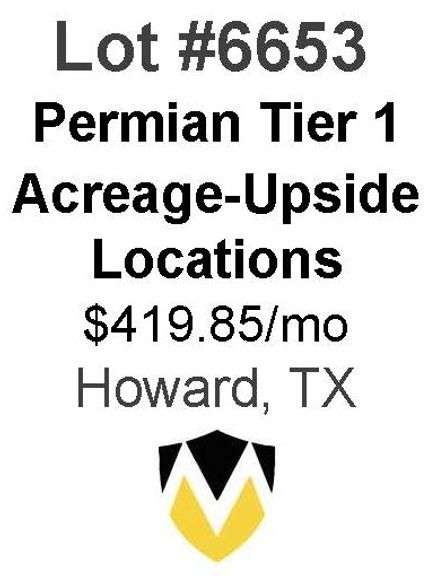 Permian Basin Tier 1 Acreage Wells with Upside Locations Available (Ripley)