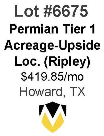 Permian Basin Tier 1 Acreage Wells with Upside Locations Available (Ripley)