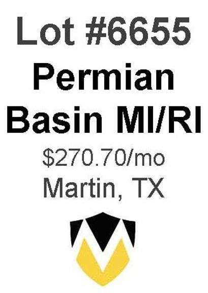 Permian Basin MI/RI (Meek-Lindsay)