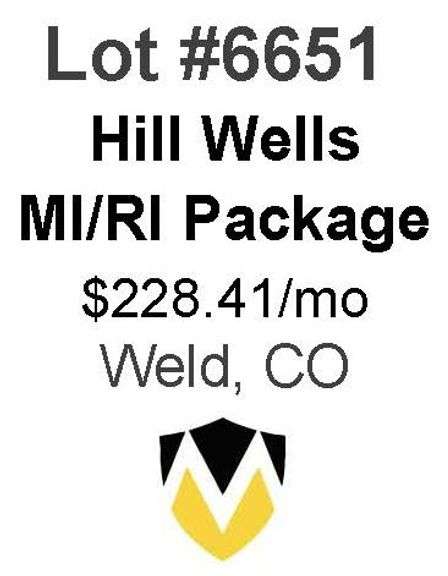 Hill Wells