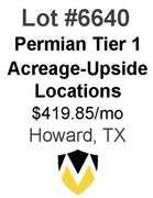 Permian Basin Tier 1 Acreage Wells with Upside Locations Available (Ripley)