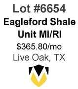 4-Well Eagleford Shale Unit (Whitsett)