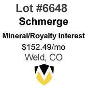 Schmerge 14-Well Package