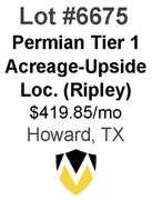 Permian Basin Tier 1 Acreage Wells with Upside Locations Available (Ripley)