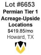 Permian Basin Tier 1 Acreage Wells with Upside Locations Available (Ripley)