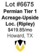 Permian Basin Tier 1 Acreage Wells with Upside Locations Available (Ripley)