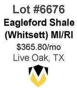 4-Well Eagleford Shale Unit (Whitsett)