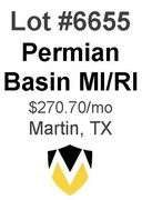 Permian Basin MI/RI (Meek-Lindsay)